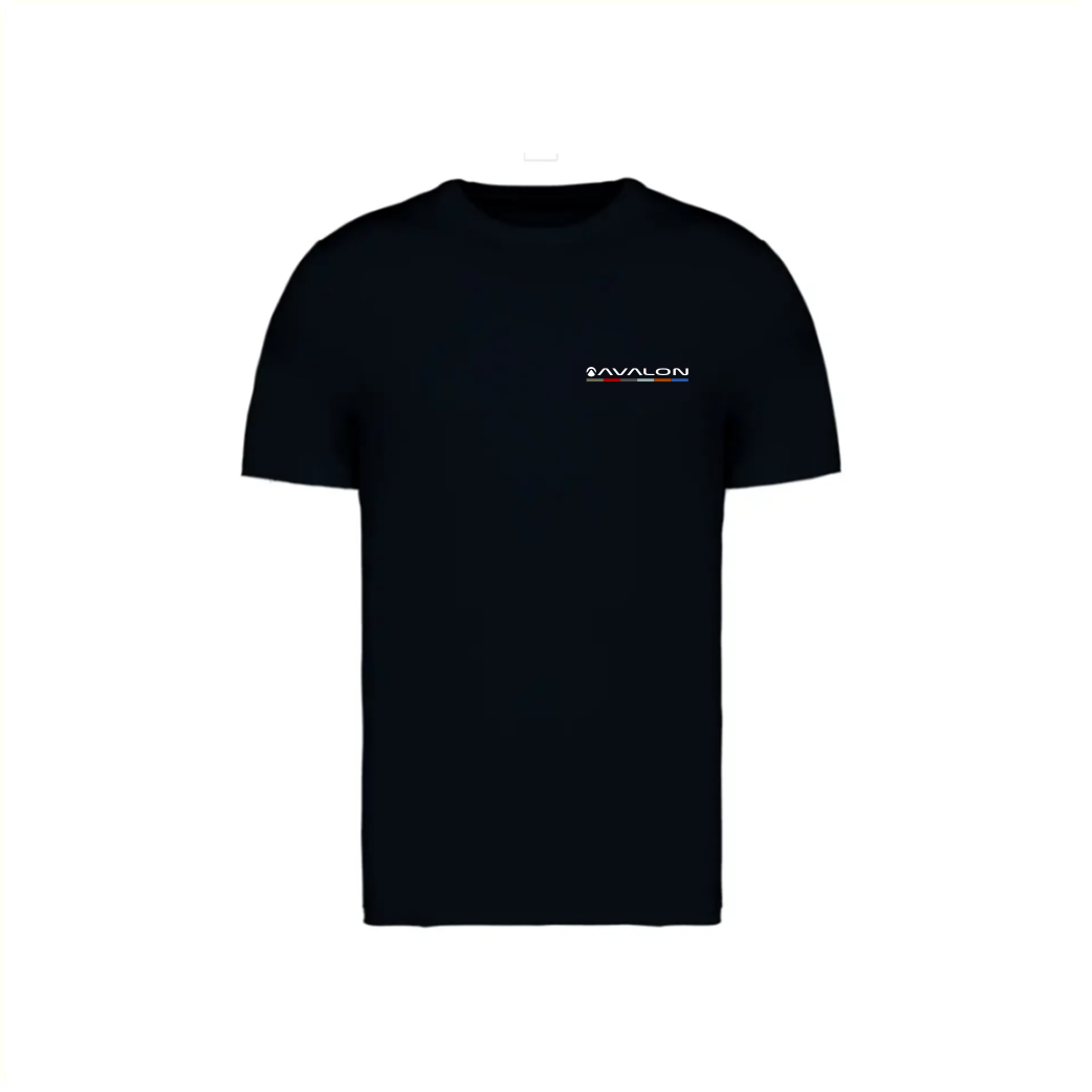 Avalon T Shirt maat XXL zwart